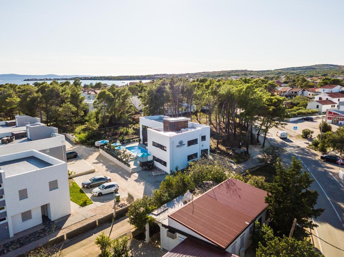 Olive Tree Mansion Apartment Vir Exterior photo