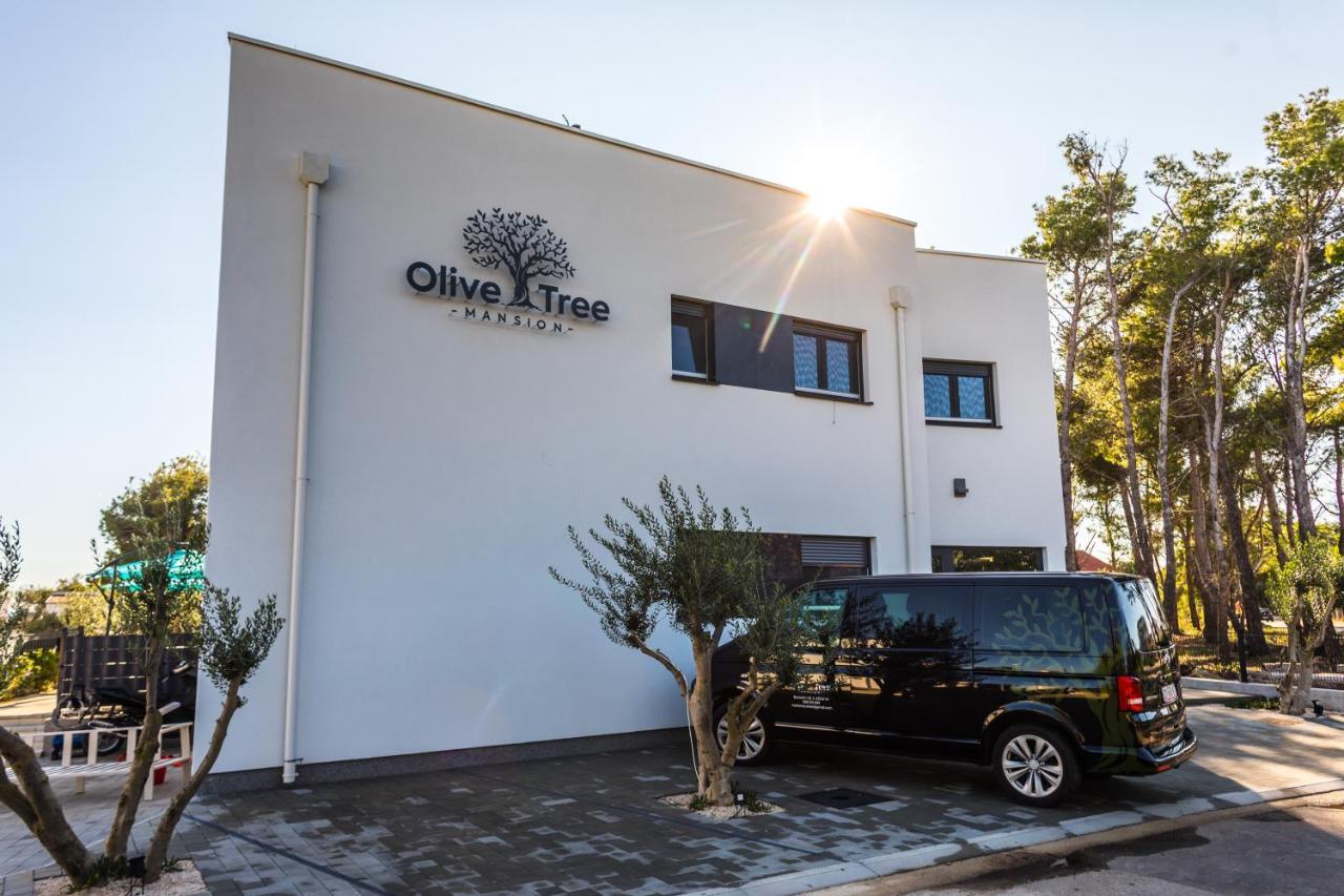 Olive Tree Mansion Apartment Vir Exterior photo